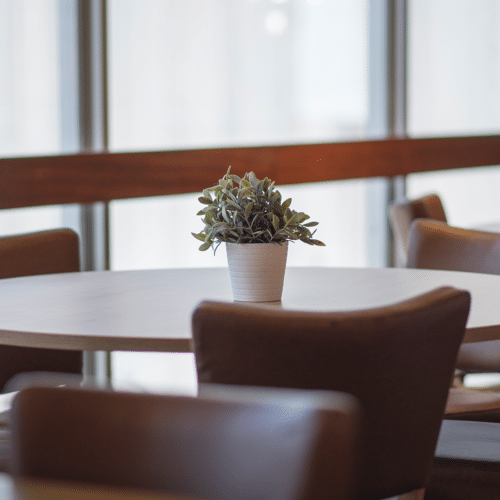 Plant on top of table
